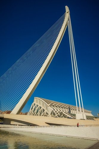 Valencia Tourist Card: Vetenskapsmuseet i Valencia