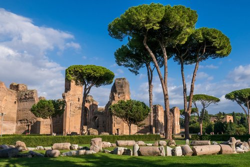 Roma Pass: Terme die Caracalla